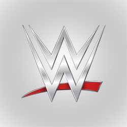 World Wrestling Entertainment Inc.